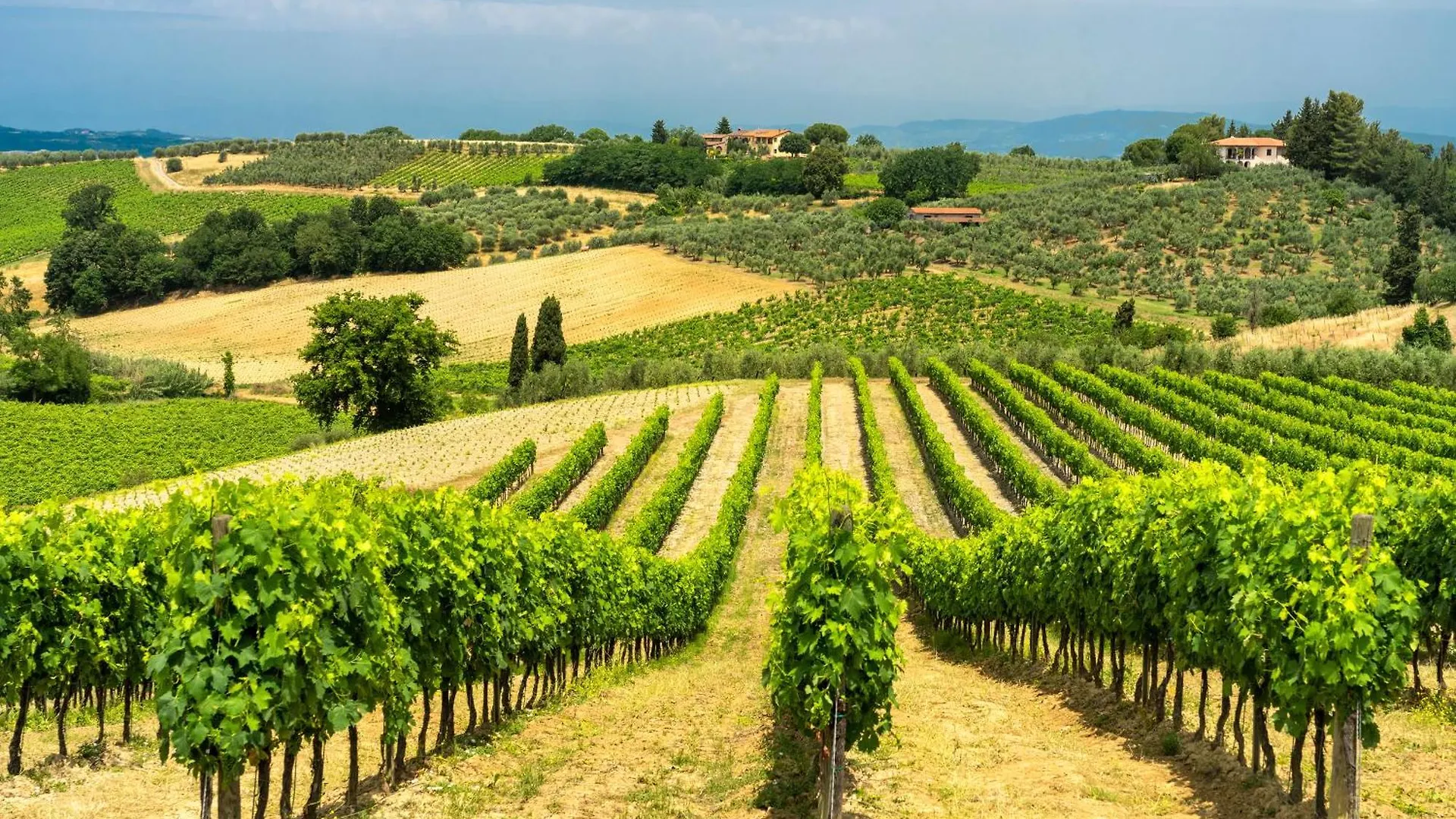 Francigena Apartments - Happy Rentals Gambassi Terme